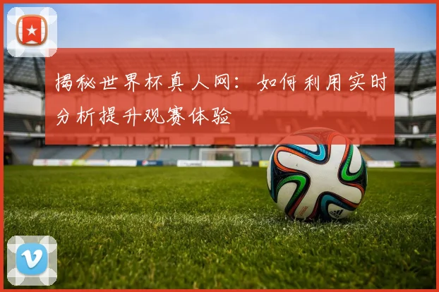 揭秘世界杯真人网：如何利用实时分析提升观赛体验
