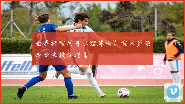 世界杯官网可以赌球吗？官方声明与合法投注指南
