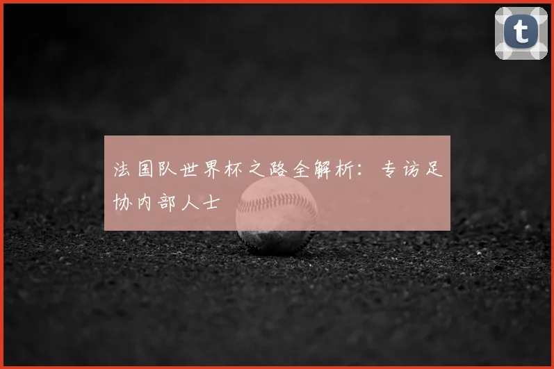法国队世界杯之路全解析：专访足协内部人士