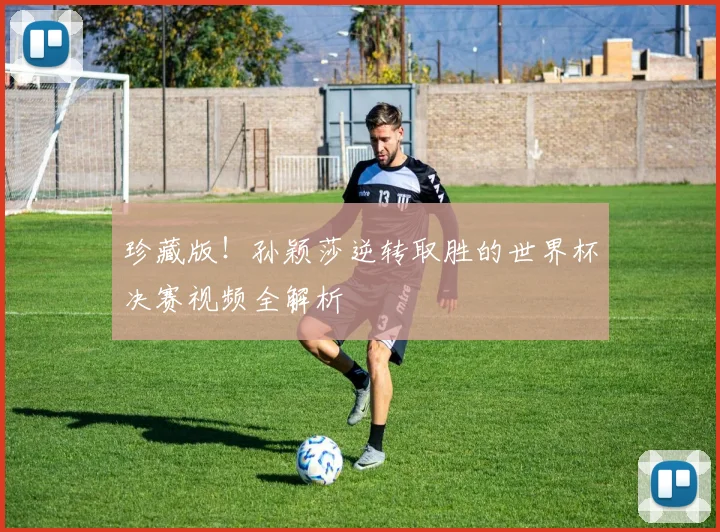 珍藏版！孙颖莎逆转取胜的世界杯决赛视频全解析
