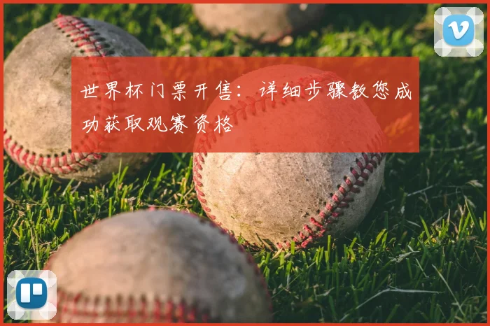 世界杯门票开售：详细步骤教您成功获取观赛资格