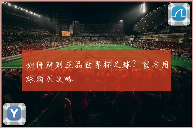 如何辨别正品世界杯足球？官方用球购买攻略
