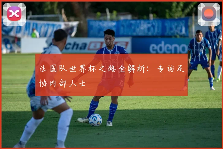 法国队世界杯之路全解析：专访足协内部人士